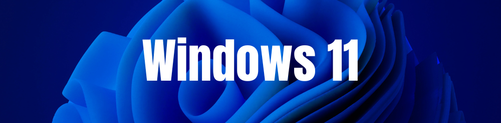 Windows 11 Shared Audio feature