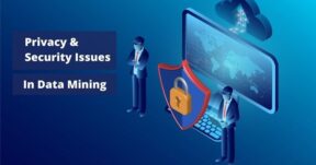 Data Mining Security