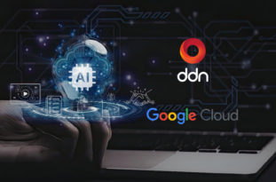 DDN and Google Cloud