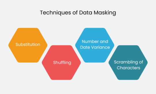 Techniques of Data Masking