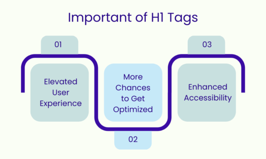 H1 Tags Important