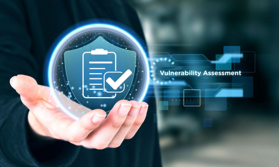 Vulnerability Assessment