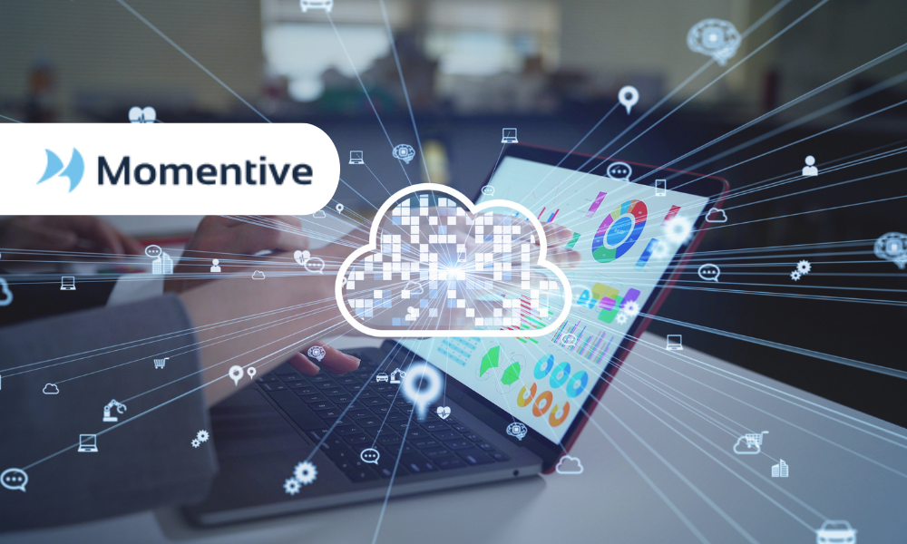 Momentive Software