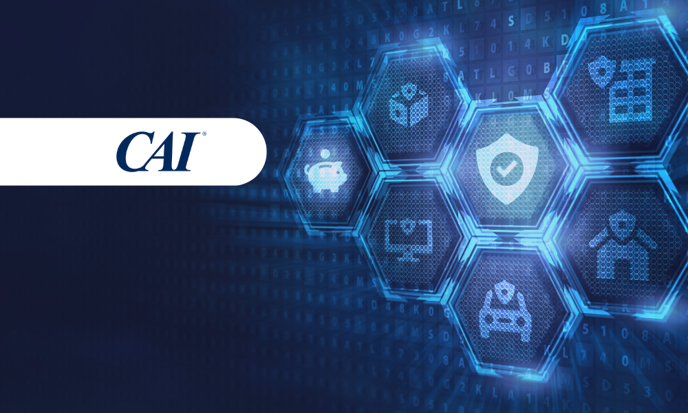 Cyber Insurance Assessment
