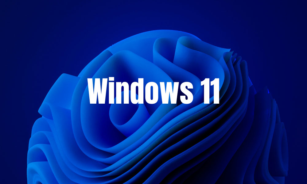 Windows 11 Shared Audio feature