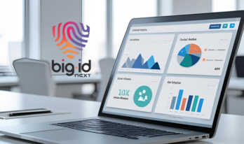 BigID BigID