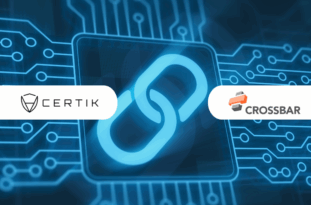 Blockchain Security