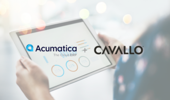 Cavallo {{brizy_dc_image_alt entityId=