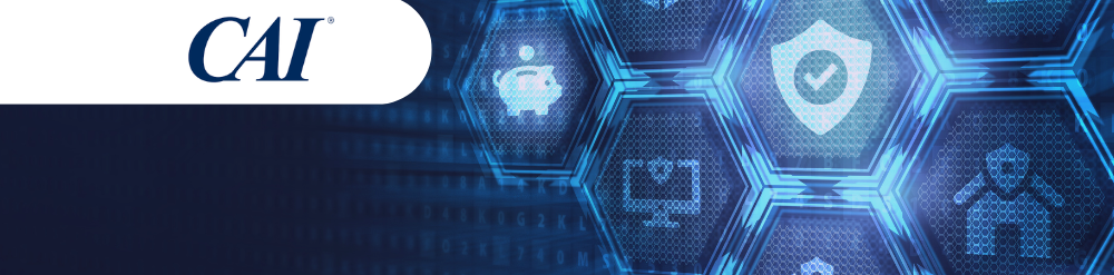 Cyber Insurance Assessment