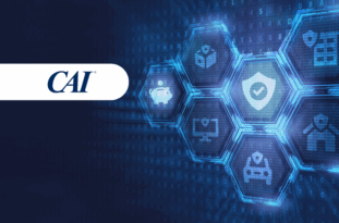 Cyber Insurance Assessment