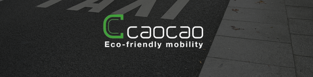Driverless Robotaxi Driverless Robotaxi