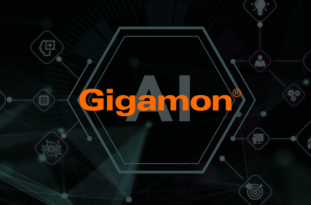 Gigamon