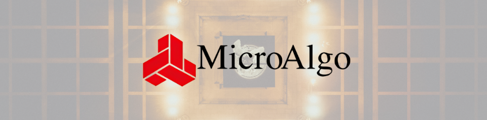 MicroAlgo Inc. MicroAlgo