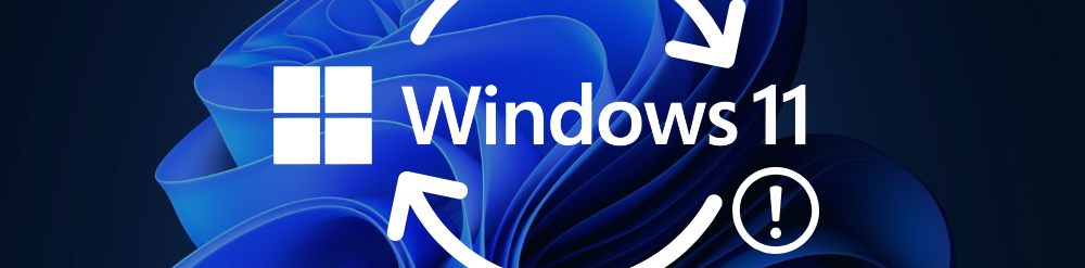 Microsoft Windows Update Experience