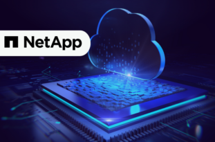 NetApp Wins 2025