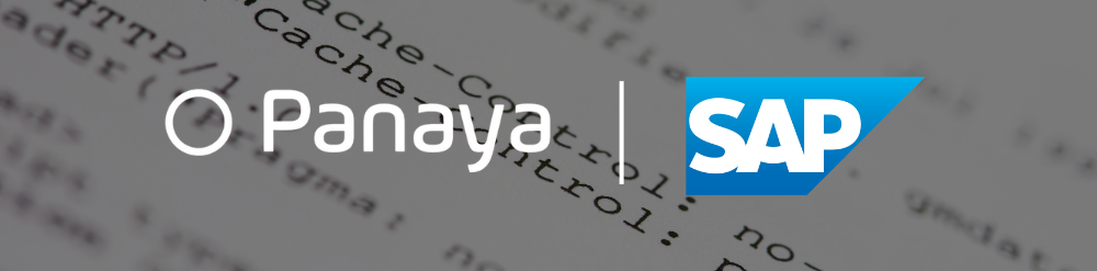 Panaya Panaya
