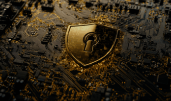 Patch and Pray {{brizy_dc_image_alt entityId=