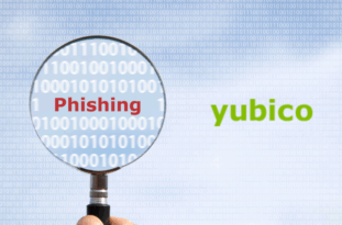 Phishing Attacks