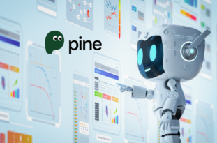 Pine AI Empowering Consumers with AI Support