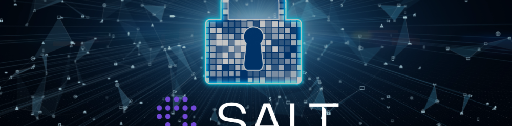 Salt Security {{brizy_dc_image_alt entityId=