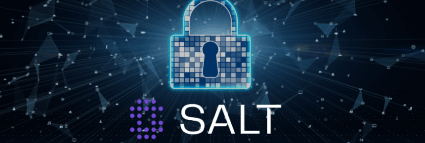 Salt Security Leads API Market With Year of Innovation