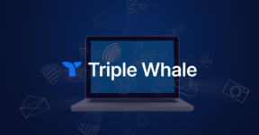Triple Whale