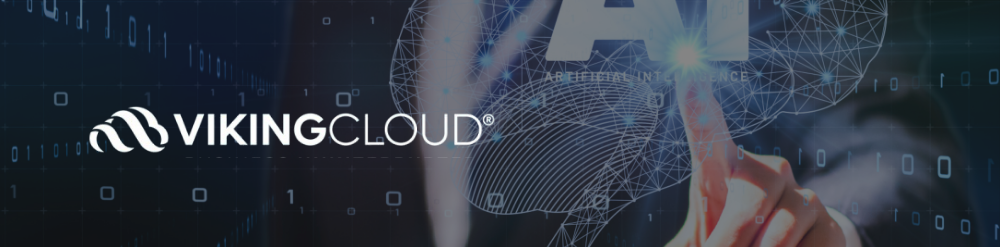 VikingCloud AI Governance Risk Review VikingCloud AI Governance Risk Review