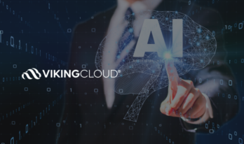 VikingCloud AI Governance Risk Review VikingCloud AI Governance Risk Review