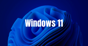 Windows 11 Shared Audio feature